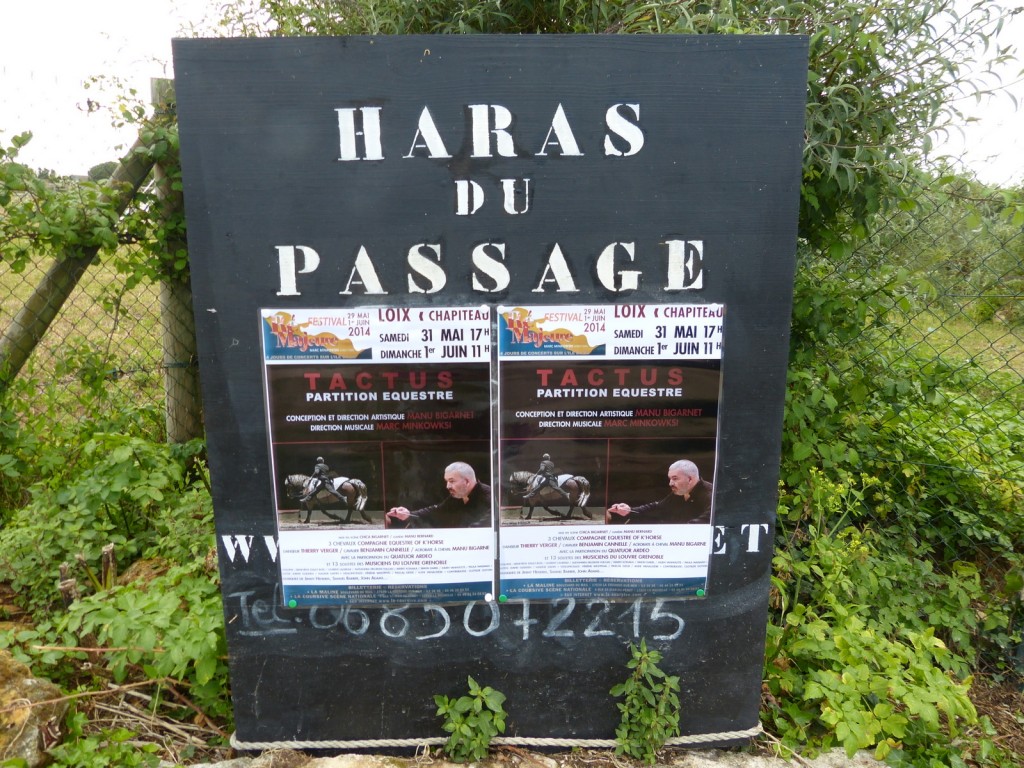 Tactus Partition équestre