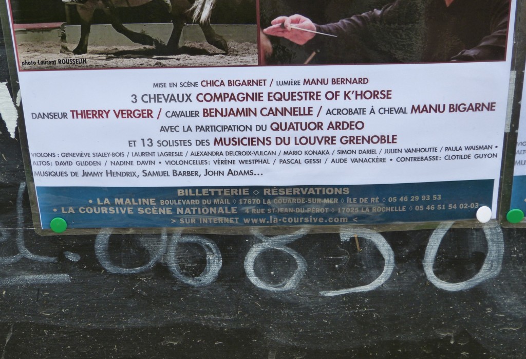 Tactus Partition équestre