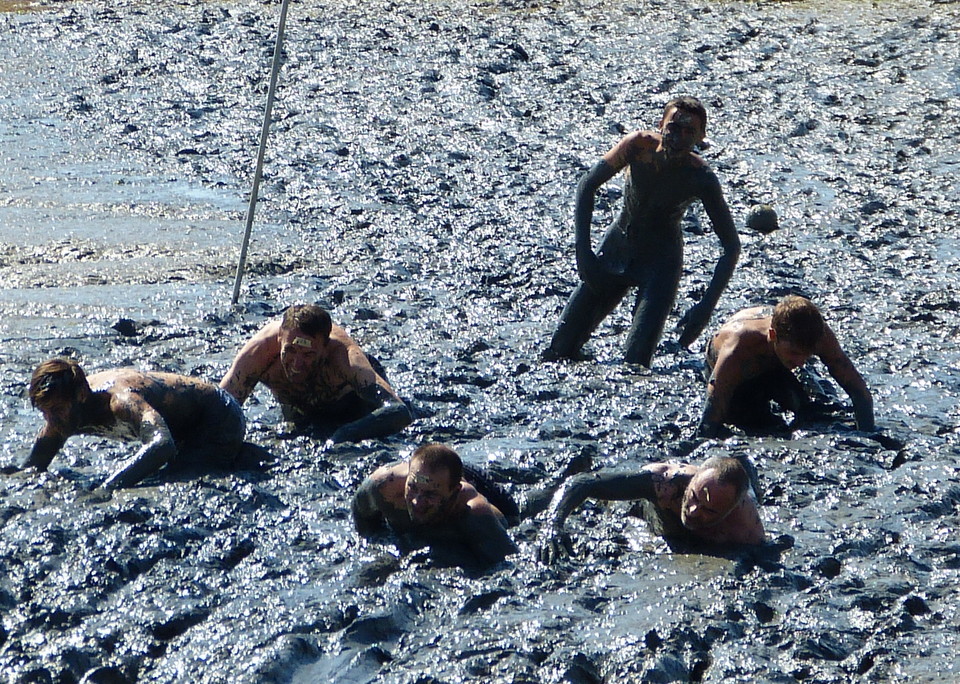 Loix - Journée du port - Course des hommes - 8 août 2013
