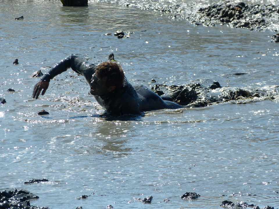 Loix - Journée du port - Course des hommes - 8 août 2013