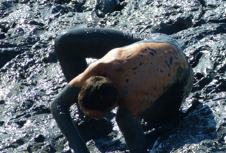 Loix - Journée du port - Course des hommes - 8 août 2013