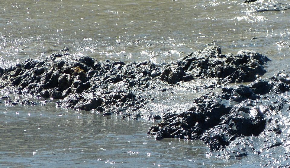 Loix - Journée du port - Course des hommes - 8 août 2013