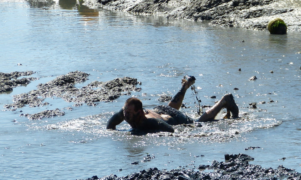 Loix - Journée du port - Course des hommes - 8 août 2013