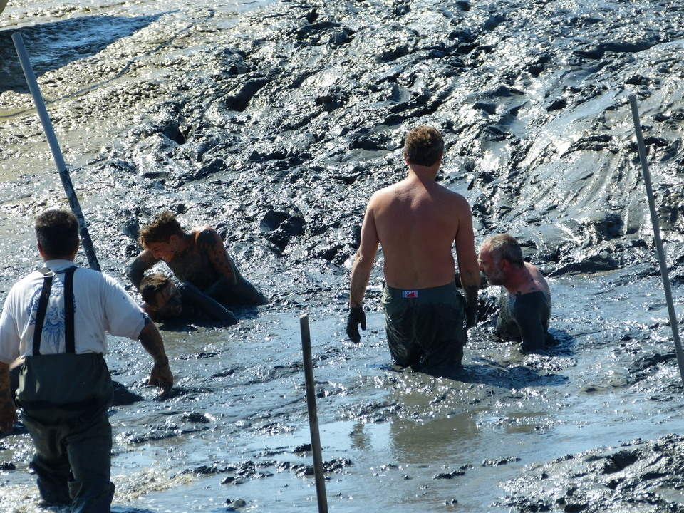 Loix - Journée du port - Course des hommes - 8 août 2013