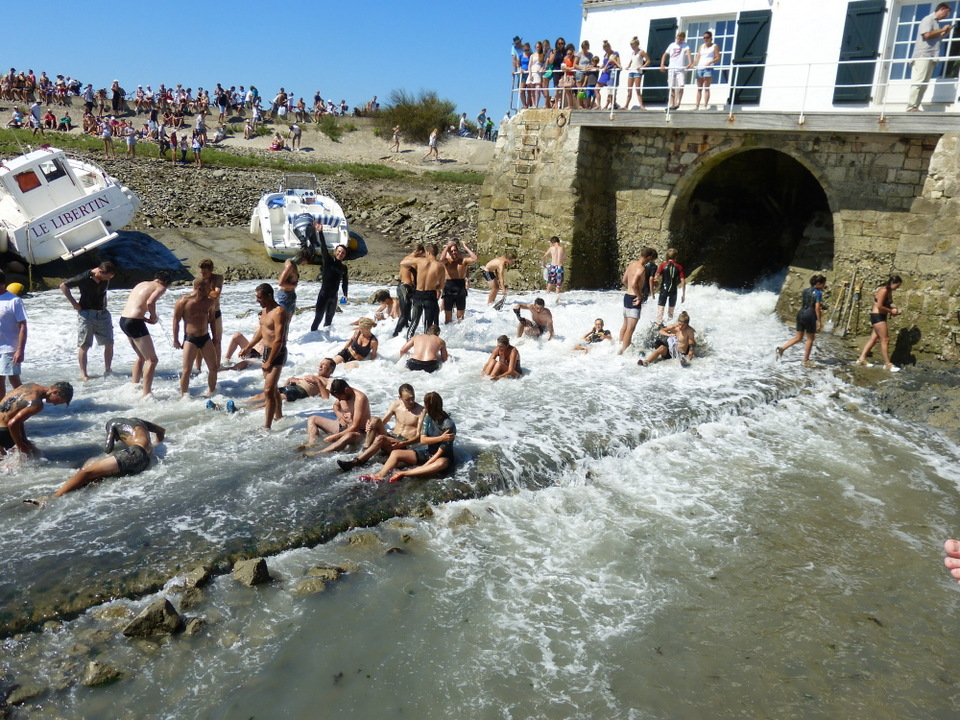 Loix - Journée du port - Baignade - 8 août 2013