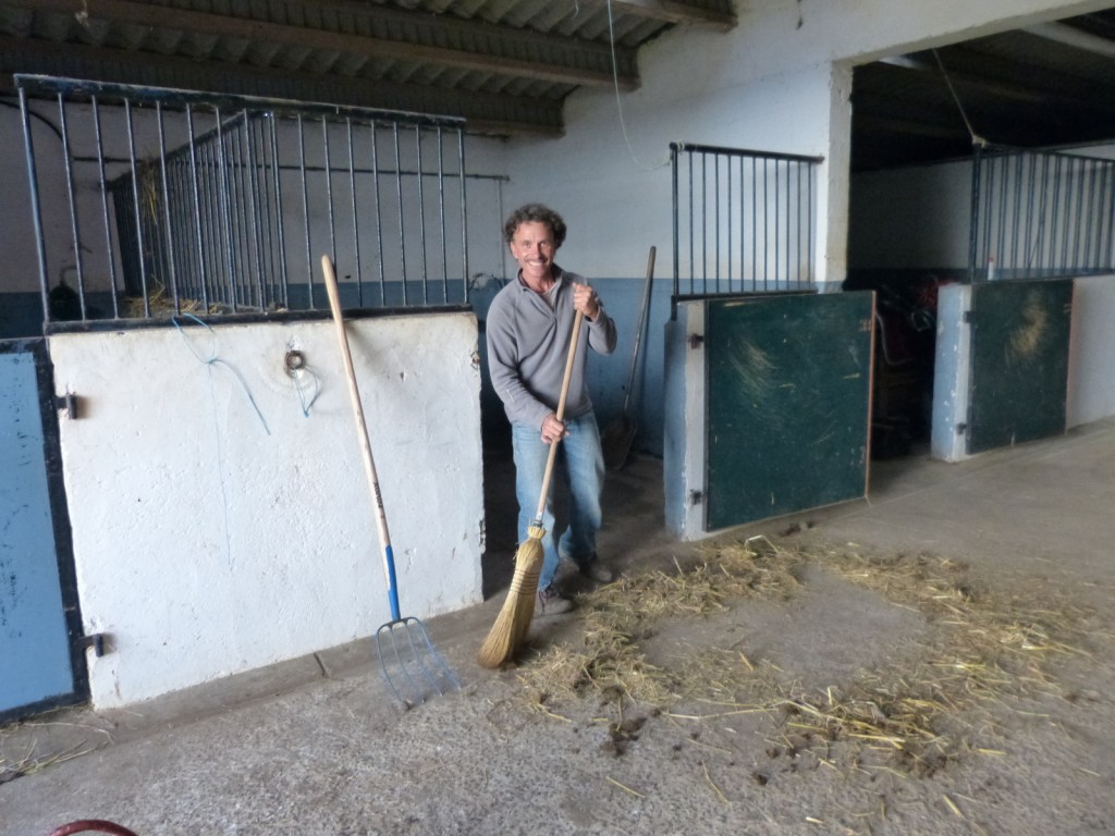 Loix - Haras du Passage - Manu Bigarnet