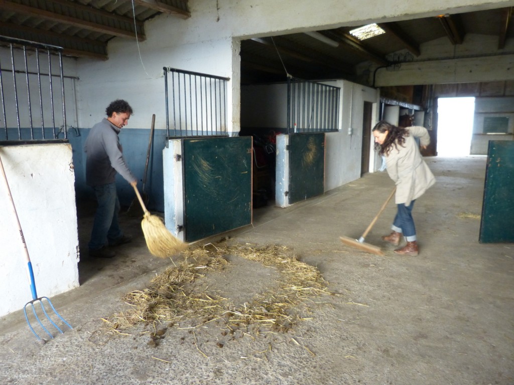 Loix - Haras du Passage - Manu et Chica Bigarnet