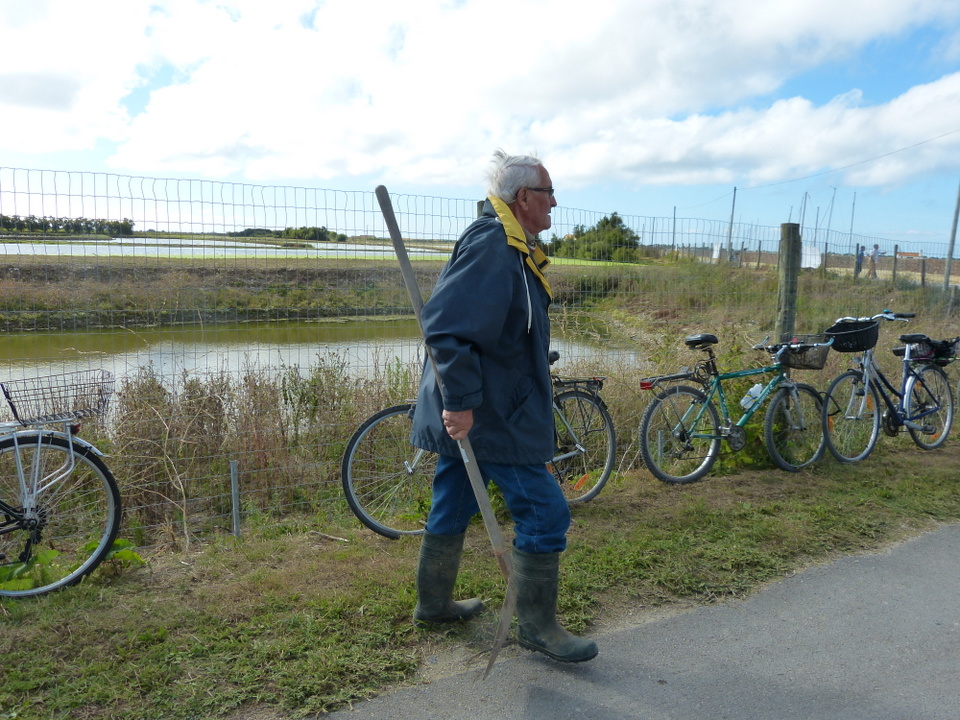 En route pour la digue du Goisil - La Couarde-sur-Mer