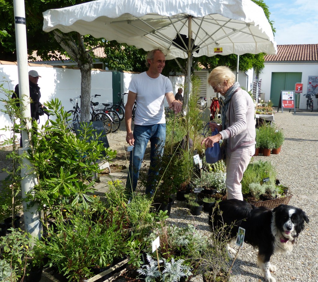 Loix - Fourchettes et Binettes - 30 mai 2014