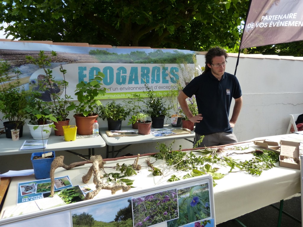 Loix - Fourchettes et Binettes - 30 mai 2014