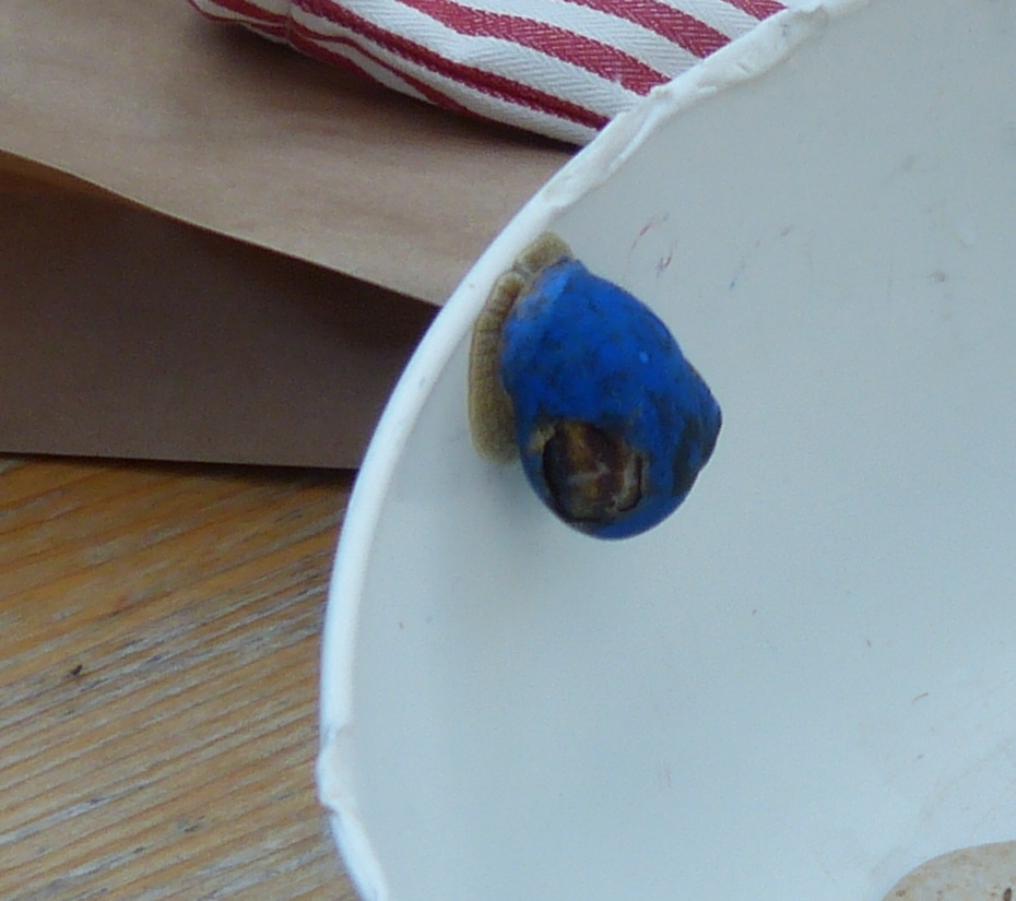 Escargot 2014