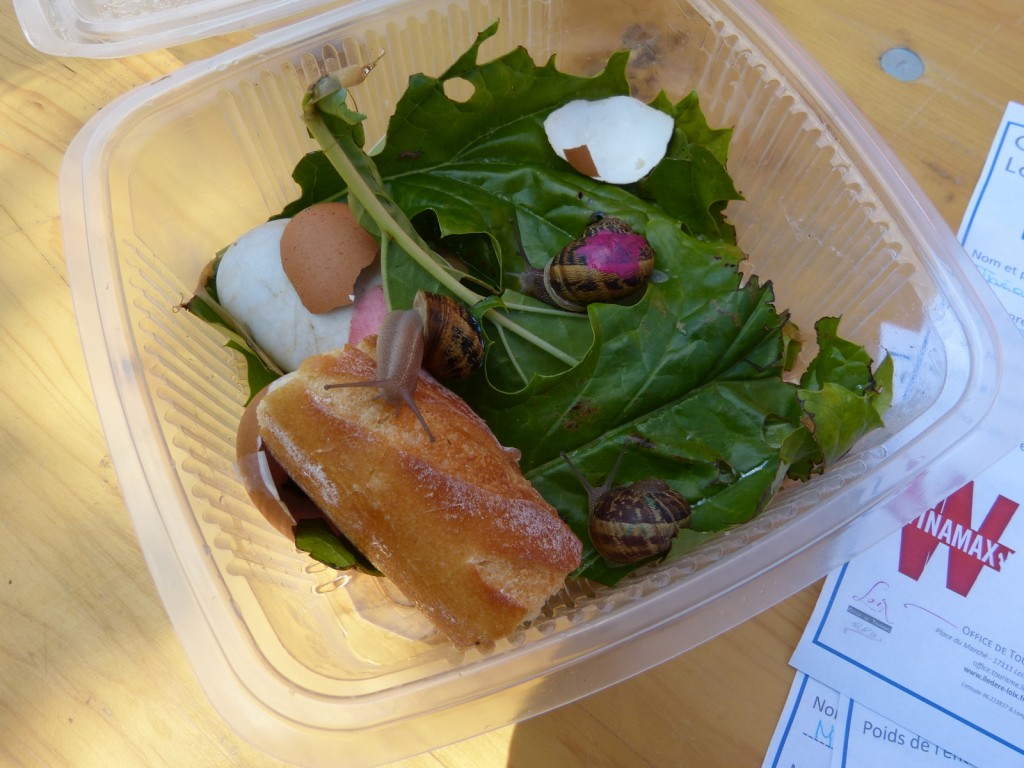 Escargots 2014