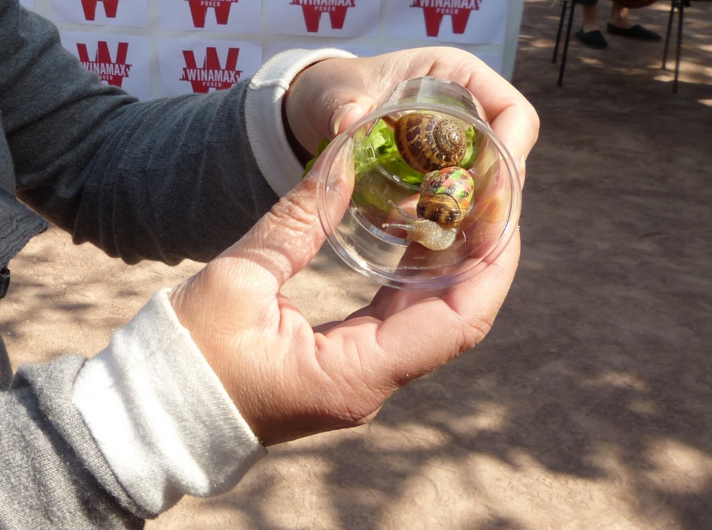 Escargots 2014