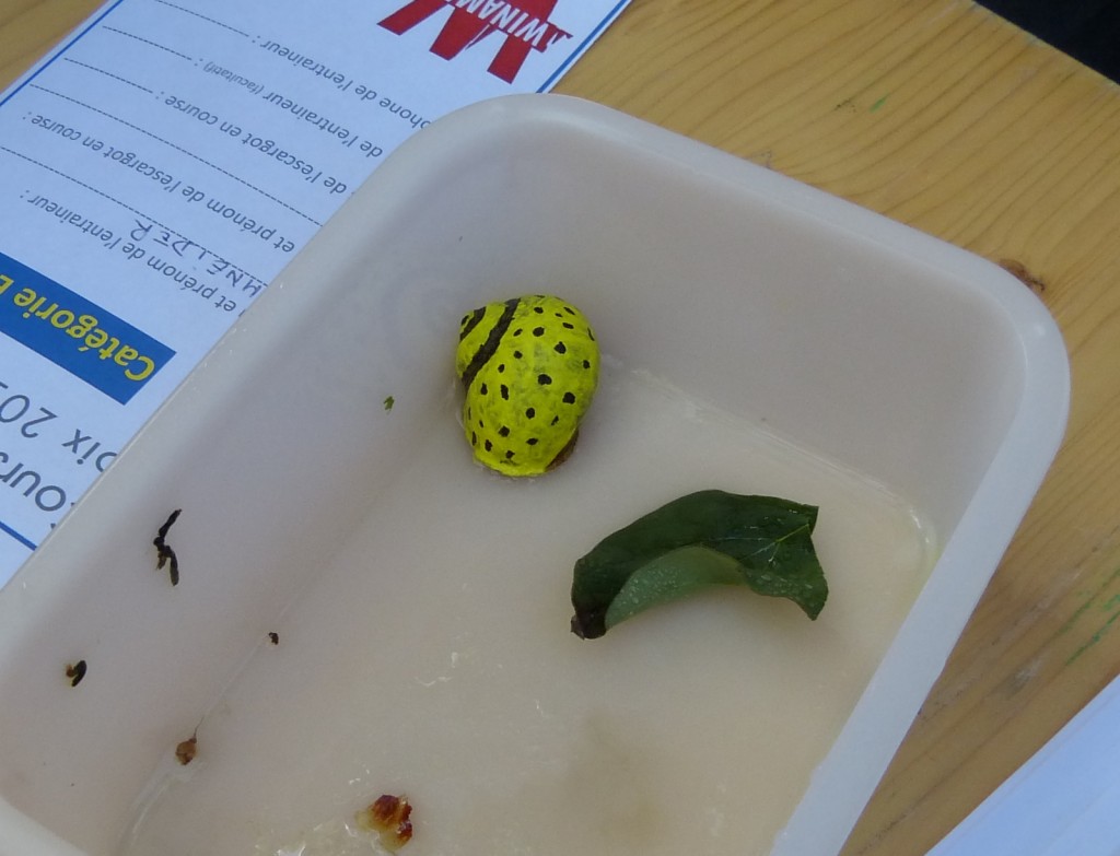 Escargot 2014