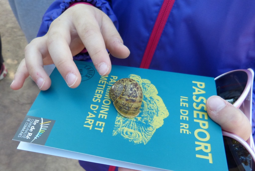 Escargot 2014