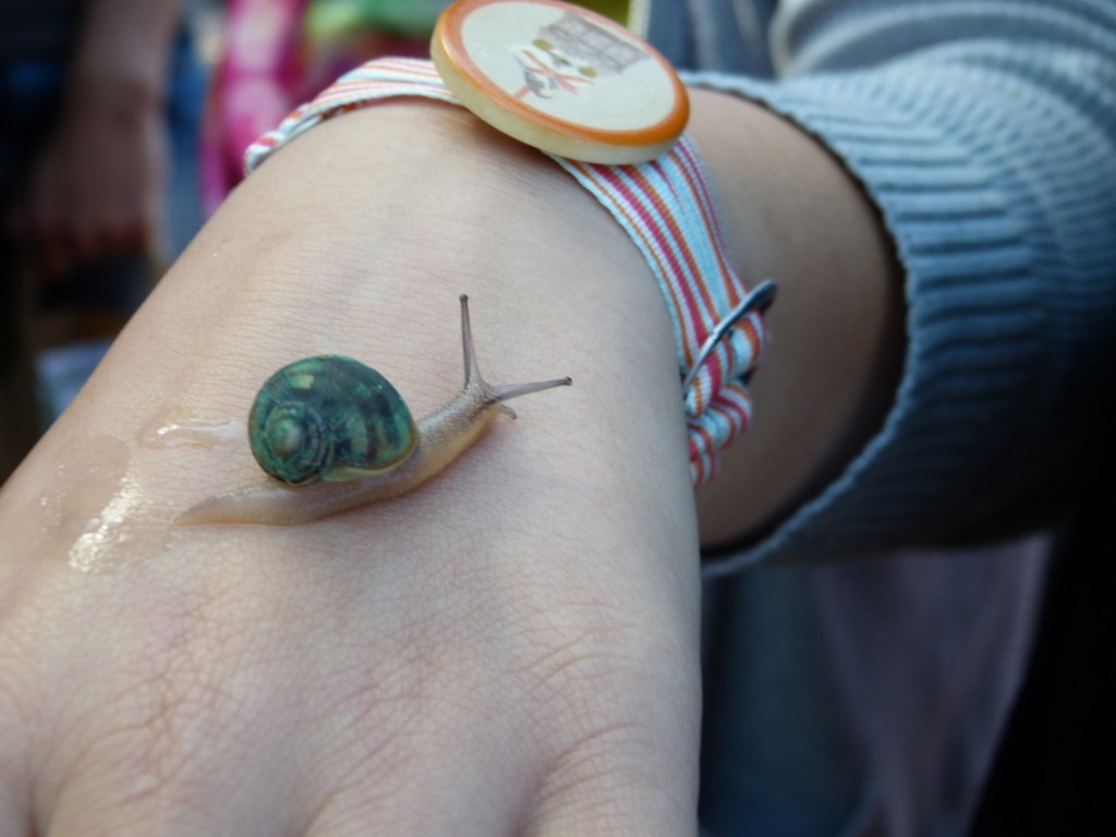 Escargot 2014