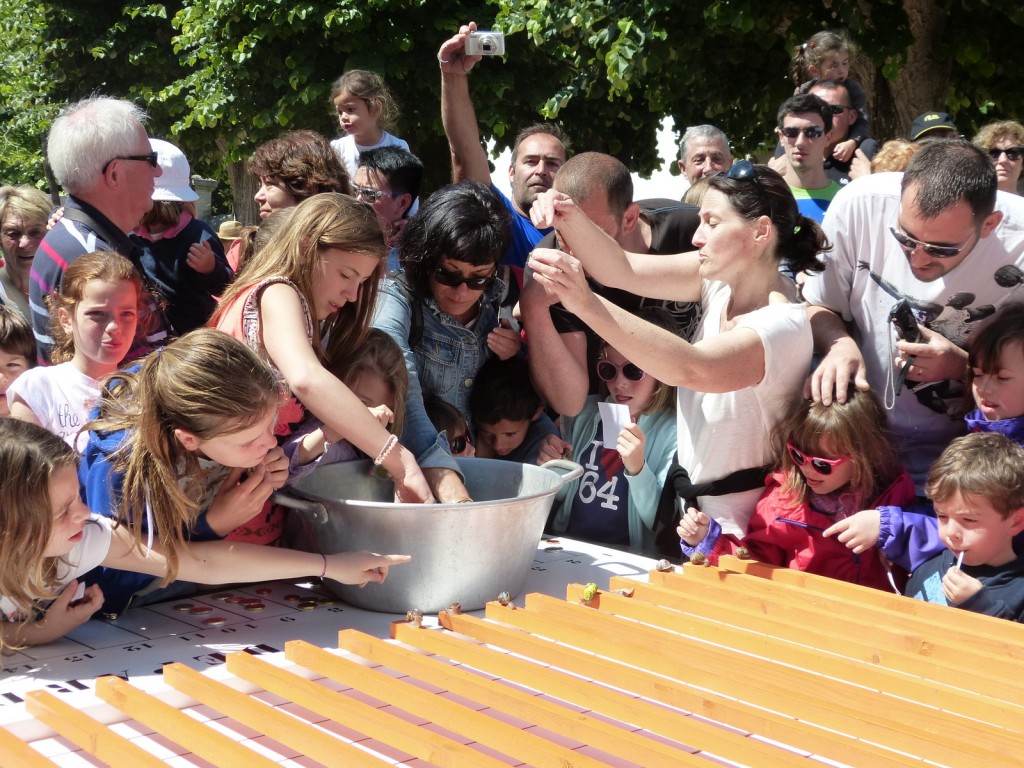 Loix - Course escargots - 30 mai 2014