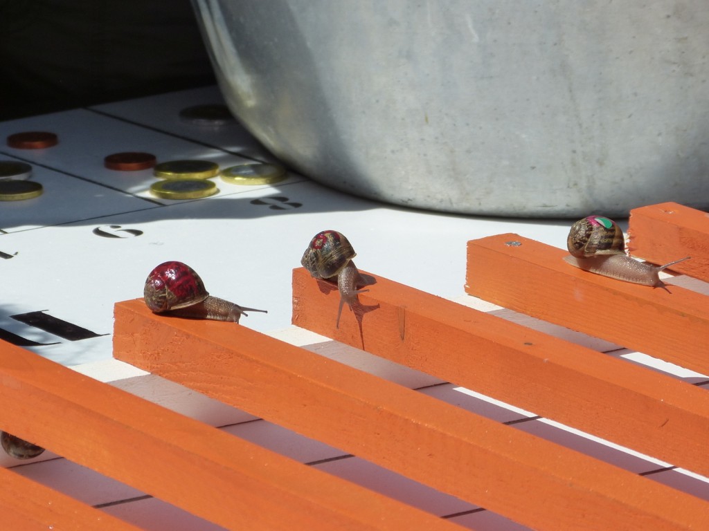 Escargot 2014