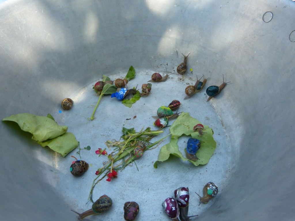 Escargots 2014