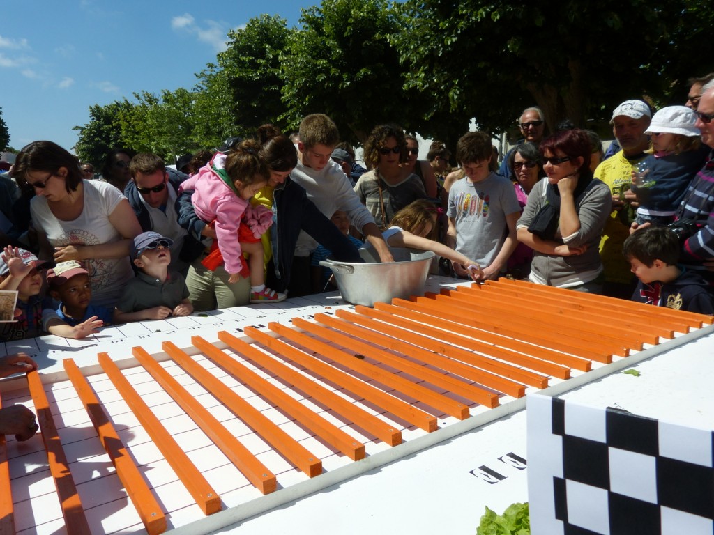Loix - Course escargots - 30 mai 2014