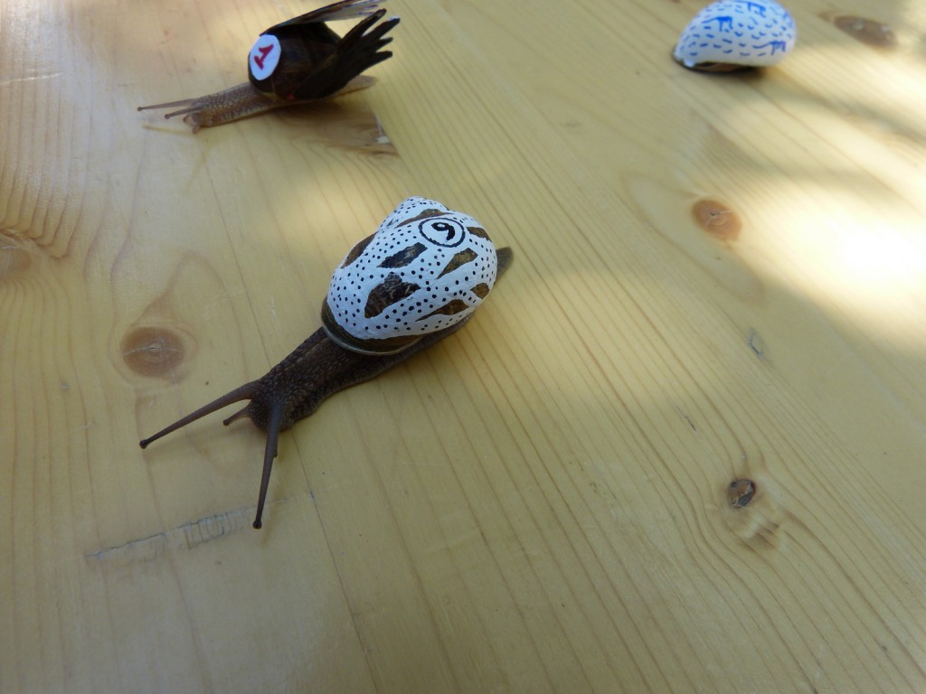 Escargot s2014