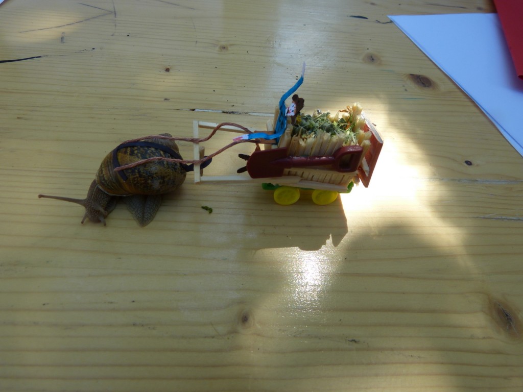 Escargot 2014