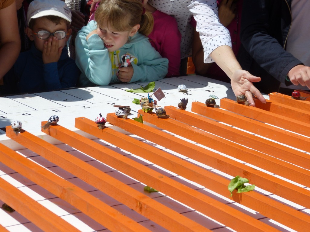 Loix - Course escargots - 30 mai 2014