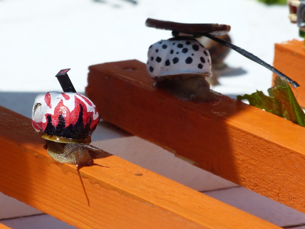 Escargots 2014