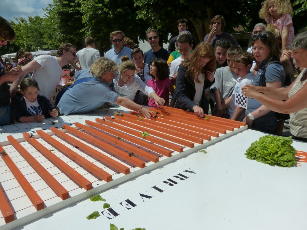 Loix - Course escargots - 30 mai 2014