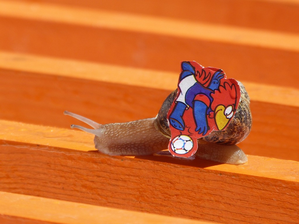 Escargot 2014