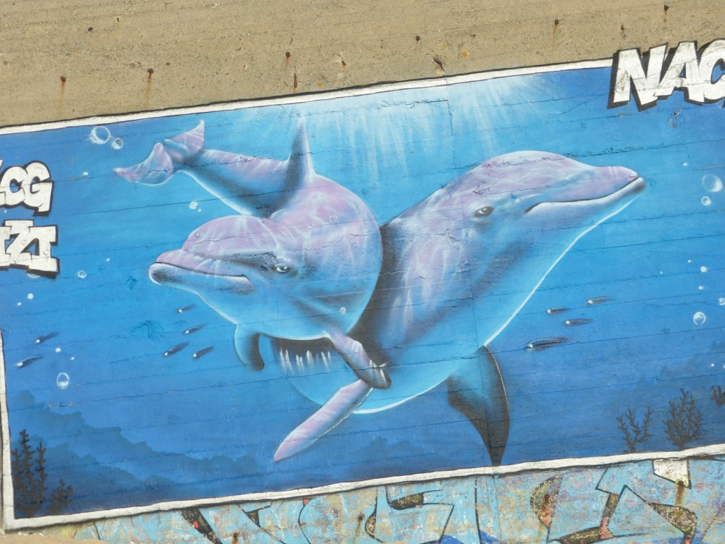 Dauphins - Graffeur NACL - Conche des Baleines