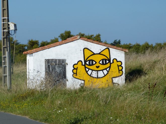 M. CHAT à Saint-Clément des Baleines - Août 2014