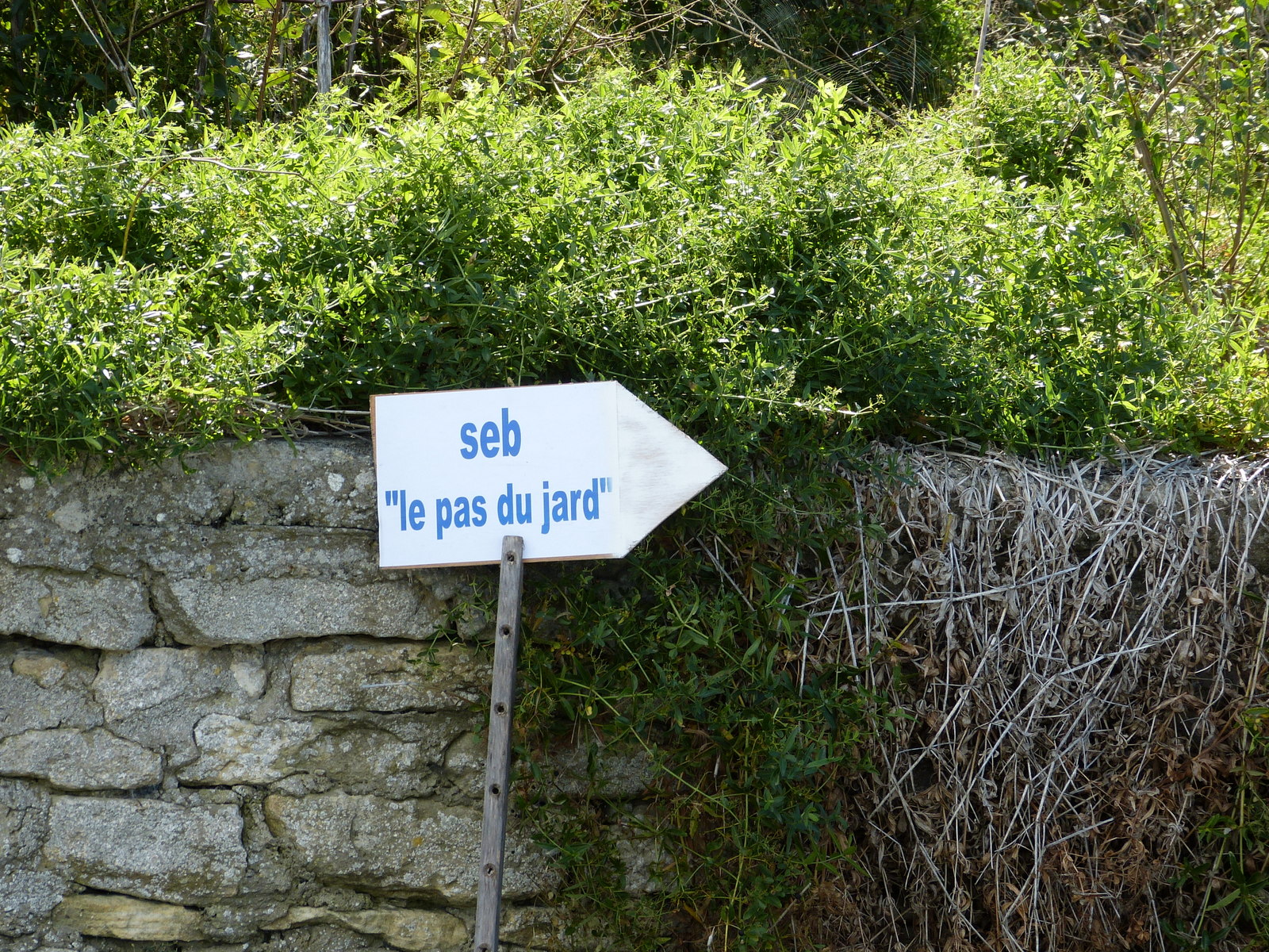 rétaise en 3 lettres