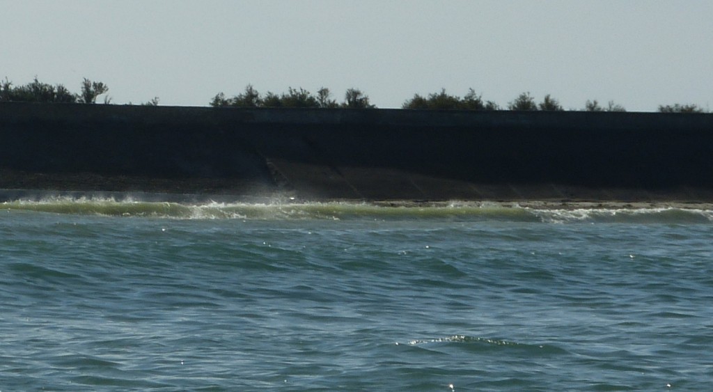 Houle au large de Loix - Dimanche 19 octobre 2014