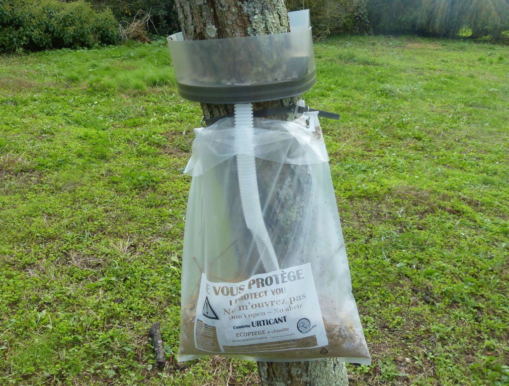 Ecopiège à chenille processionnaire