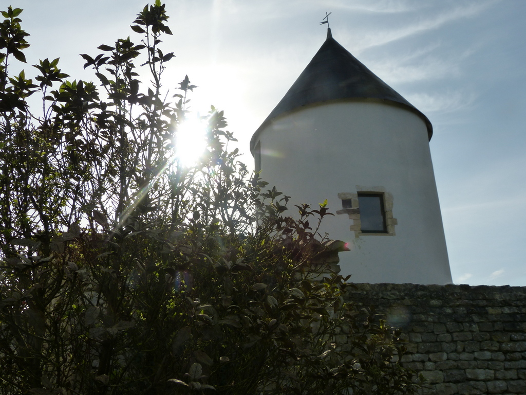 Loix - Moulin de l'Abbaye
