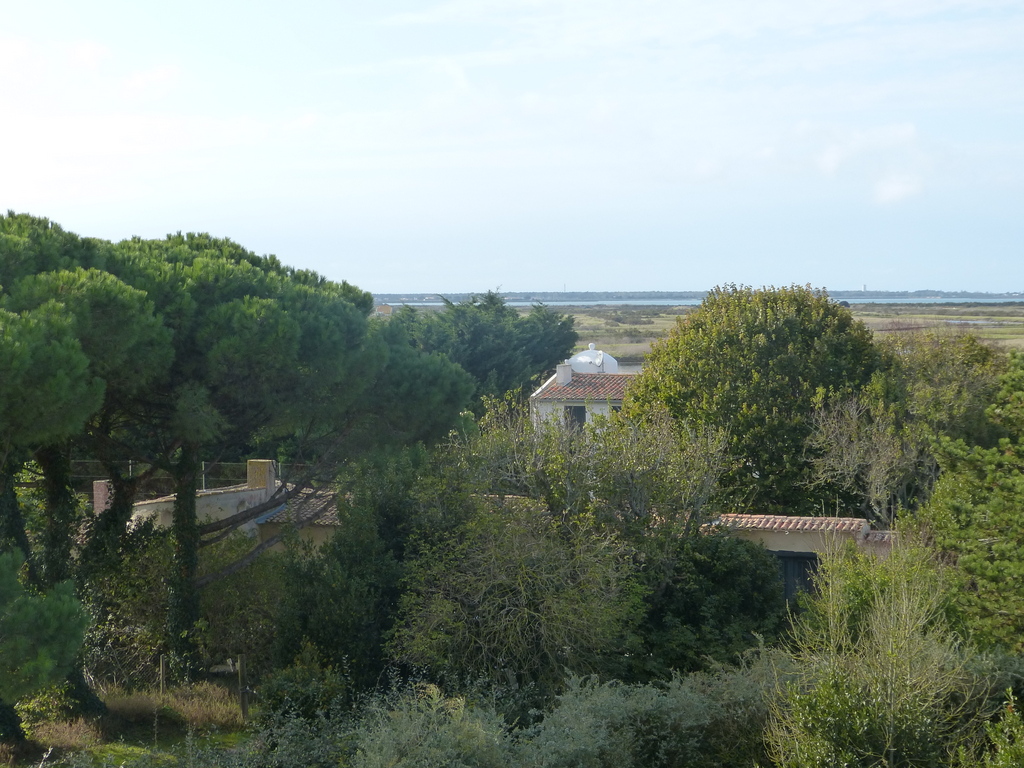 Loix - Perspective en haut du Moulin de l'Abbaye