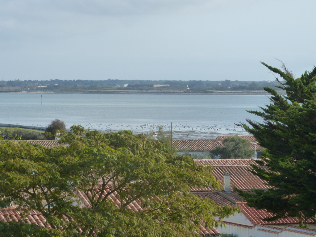 Loix - Perspective en haut du Moulin de l'Abbaye