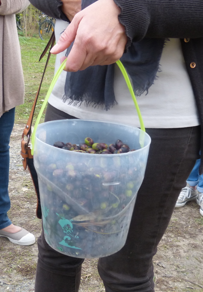 Olives de l'île de Ré