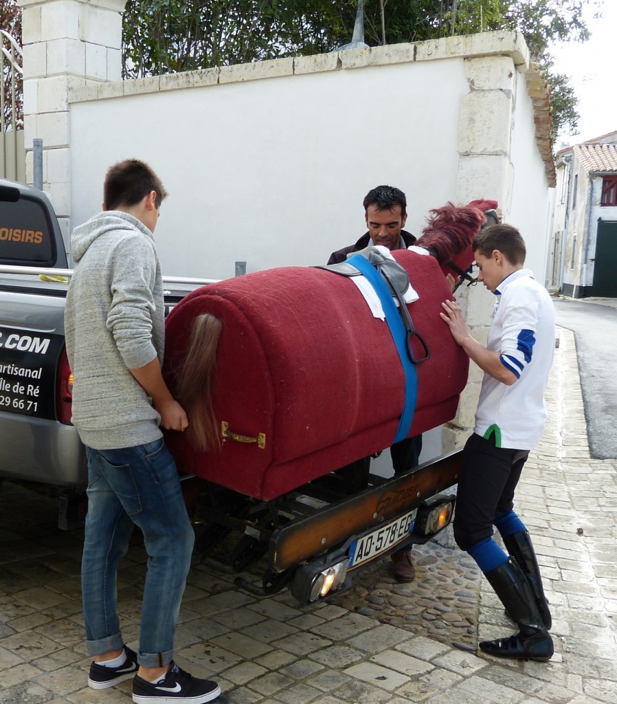 Damien Morin - Ars-en-Ré - 9 novembre 2014