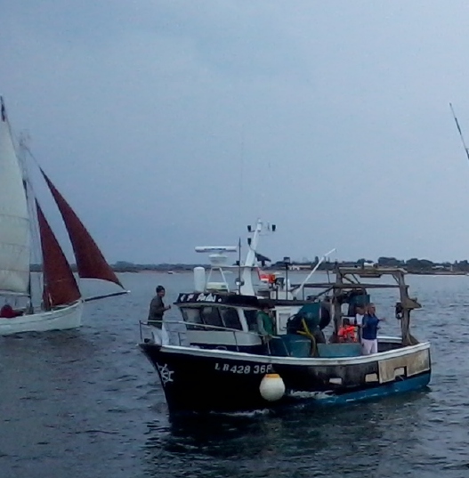 Ars-en-Ré - Fête de la sardine et du port 2013