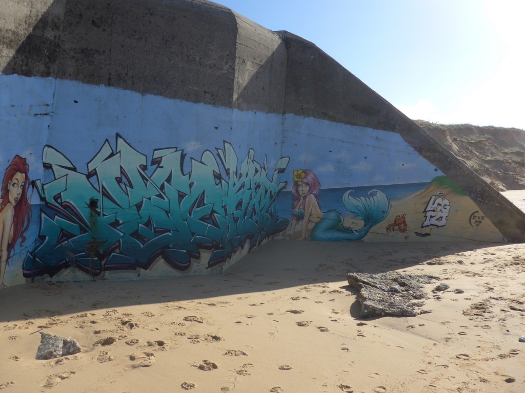 Graffeur NACL - Sirènes à la Conche des Baleines