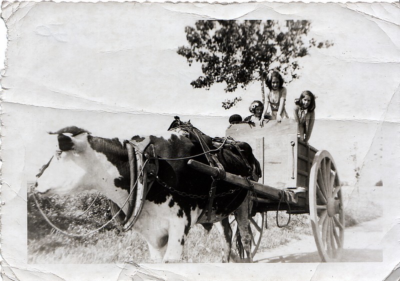 Carte postale ancienne de l'île de Ré