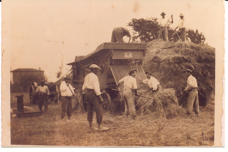 Carte postale ancienne de l'île de Ré